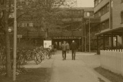 Bild_3